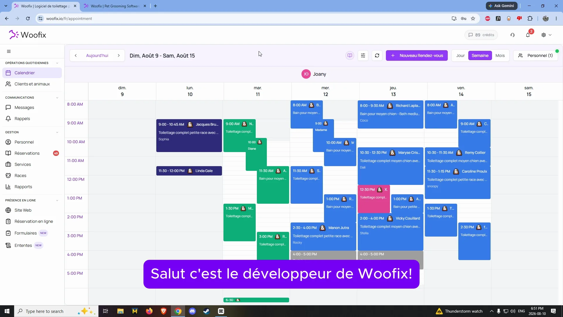 Woofix software preview